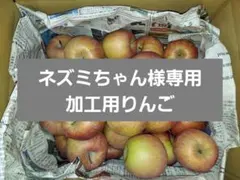 【ネズミちゃん様専用g9】加工用りんご