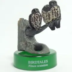 海洋堂 バードテイルズ 第2弾 森と清流 「アオバズク」 新品 未開封