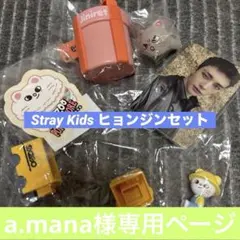【専用ページです】Stray Kids ヒョンジンセット