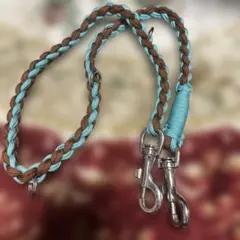 Item thumbnail for item 06d31f89-2a34-4cfb-8c2a-b4f4e1b6cc10