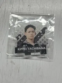 Item thumbnail for item b9c0fe17-0743-497e-be36-3985f46262f1