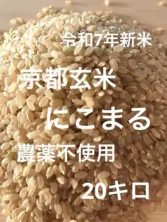 令和7年産 北海道産 ゆめぴりか玄米20kg まとめ買い お買い得 - メルカリ