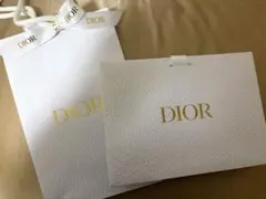 Dior ショップ袋 大小セット