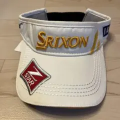 Item thumbnail for item 319d4b33-7df0-43ce-834a-355e797335d6