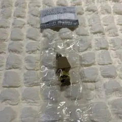 PEANUTSめじるしアクセサリー　チャーリー・ブラウン