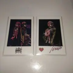 KnightX -騎士X- てるとくん フォトカード