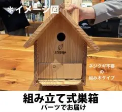 夏の自由研究に！組立式巣箱のサムネイル