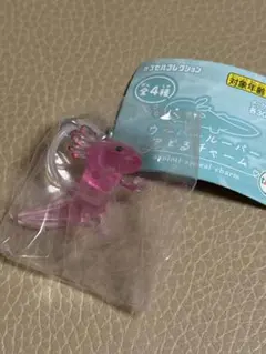 ウーパールーパー アピるチャーム