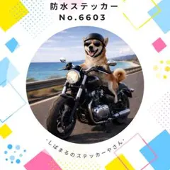 Item thumbnail for item 68fa3f09-1130-48ec-9a37-d50e7a98f1a8