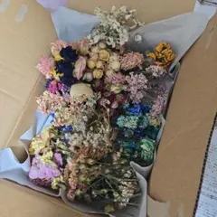 もりの様専用商品❤️ 小花のドライフラワー詰合せ 紫陽花ひな祭りルナ