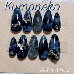 黒ネイルチップ　No.2 ブラック　マーブル　シルバーパーツ