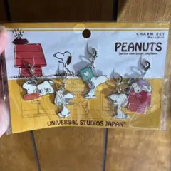 スヌーピーチャームセット ユニバーサルスタジオジャパン