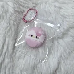 キティスクイーズ