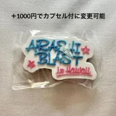 嵐　カプセルトイ マグネット