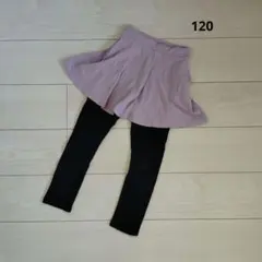 スカッツ 裏起毛 120