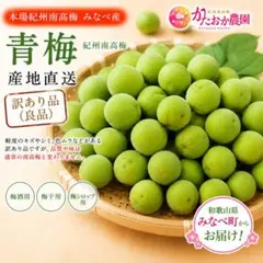 本場 紀州南高梅 みなべ産 訳あり青梅 良品 3L 10kg - メルカリ