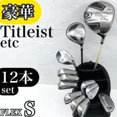 本格派 メンズゴルフクラブ 12本 フルセット ブリヂストン タイトリスト BRIDGESTONE - ブリジストン インセプター EVX-Ⅱ メンズクラブ