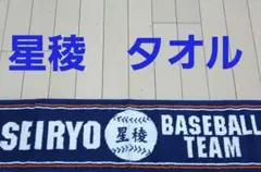 2026年最新】星稜 タオルの人気アイテム - メルカリ
