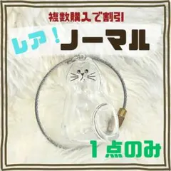 レア　ノーマル　透明猫　毛玉ボトル　うちの子けだまだま　類似品　猫のキーホルダー