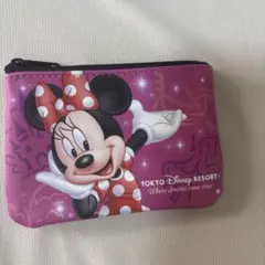 東京ディズニーリゾート ミニーマウス ポーチ　チケット　ディズニー