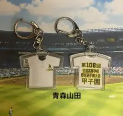 新田】第108回全国高等学校野球選手権大会記念キーホルダー - メルカリ