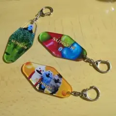 パペットスンスン ポップアップ モーテルキーホルダ　ランダムアクリルキーホルダー