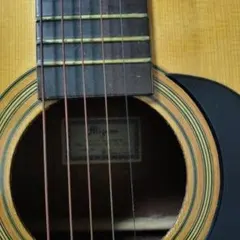 メンテ済 Tomson D-38 70年代 木曽鈴木バイオリン アコギ カポ付