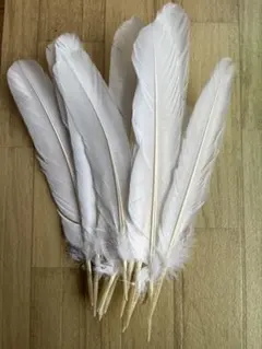 Item thumbnail for item 63c1120f-372b-4726-a4f5-adc2088a6d59