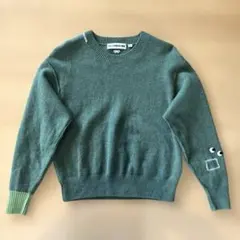 ユニクロ＊アニヤハインドマーチ緑ニット