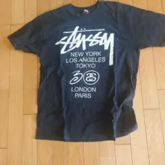 Stussy Tシャツ Lサイズ ブラック