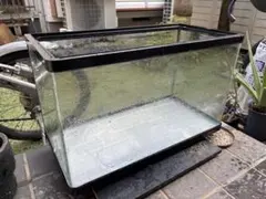 ▪️千葉県船橋市引取限定 GEX GRANDE 600 水槽一式 - メルカリ