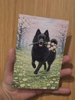 Item thumbnail for item 5ea9ac37-bca8-429a-b86a-23adbff2b9d6