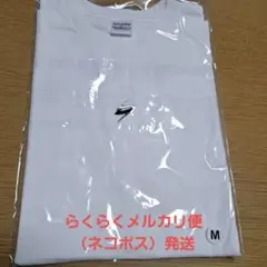 ECHOES OF DUALITY 三代目　JSB3 ツアーTシャツ　Mサイズ
