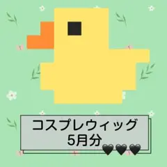 コスプレウィッグ （5月分）