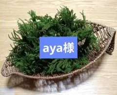 aya様専用