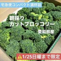 新鮮！カットブロッコリー 満杯詰 【愛知県産・農家直送】