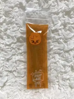 Stray Kids スキズ Felix フィリックス BbokAri ポガリ