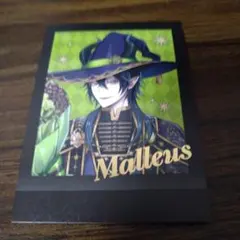 ツイステ ブルーム ぱしゃこれ マレウス 箔