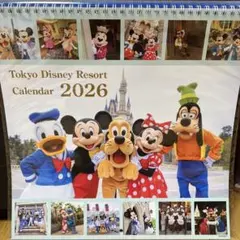 【訳あり】ディズニー 実写 壁掛けカレンダー 2026