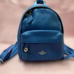 2026年最新】COACH カラー：ブルー系 レディース リュック・バック