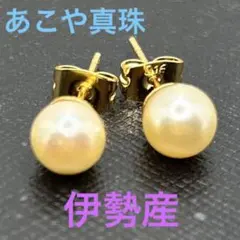 Item thumbnail for item 018d1b60-1e32-4c50-bb16-e7e4e718aa32