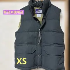 ノースフェイス パープルレーベル シエラダウンベスト