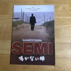 秀ちゃん様 リクエスト 2点 まとめ商品