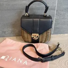 ダイアナ　カゴ　バッグ　ショルダー