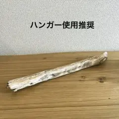 Item thumbnail for item 8685a5d5-99fc-4e9c-ab62-1c75e81fa722