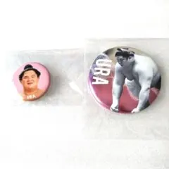 Item thumbnail for item 8fab9592-4b30-45ac-890b-ec1eb85f0f9a