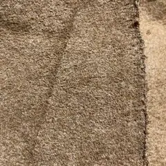 裏起毛ニット生地