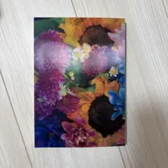 earthly flowers,heavenly colors