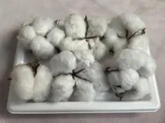 Item thumbnail for item ff38afb6-2631-44c2-a88c-bc33bbbc4e13