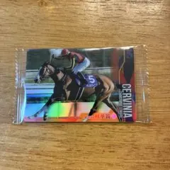 サラブレッドホースコレクション　チェルヴィニア